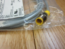 Load image into Gallery viewer, Lot of 4 Turck M12 RS 4T-2 sensor cordset cables 4 pin male NEW

